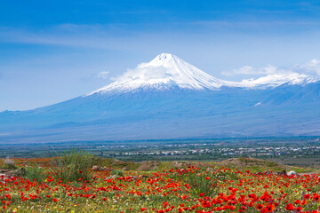 Fototapeta premium Mount Ararat (Turkey) at 5,137 m viewed from Yerevan, Armenia. This snow-capped dormant compound volcano consists of two major volcanic cones described in the Bible as the resting place of Noah's Ark.