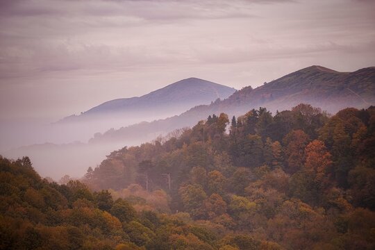 Autumn forest and Malvern Hills in the mist, Worcestershire, England, UK
