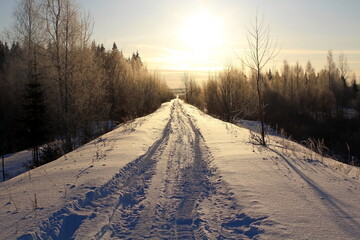 Trees and bushes covered with snow on a frosty winter day. A beautiful image of wildlife.