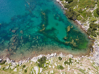 Fish Banderitsa lake, Pirin Mountain, Bulgaria