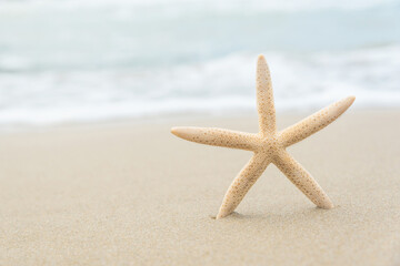 Close-up Of Starfish On Sand At Beach