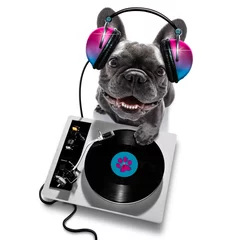Deurstickers Grappige hond dj disco dansen muziek club feest spiegelbol