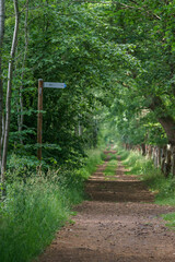 hiking sign attached to a pole besides a green rural path way, Tecklenburger Land, Germany