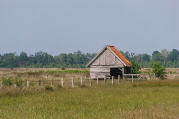 Fototapeta na wymiar grey wooden hut in moor landscape with fence on meadow, Recker Moor, Germany