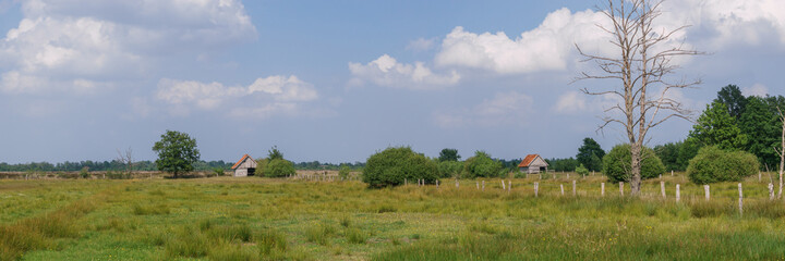 Panorama of moor landscape with two grey wooden huts on meadow and cloudy sky above at summer, Recker Moor, Germany