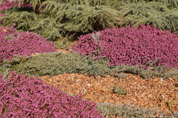 Garten Backsteingarten Ziegelsteingarten Ziegelbruch Gartenanlage Park Vorgarten Steingarten