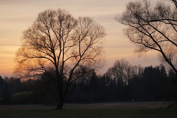 Sonnenuntergang herbstlich Stimmungsbild