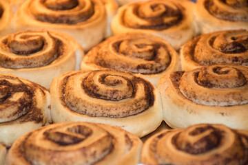 Delicious homemade cinnamon rolls buns in circle shaped on baking tray, selective focus. Top view