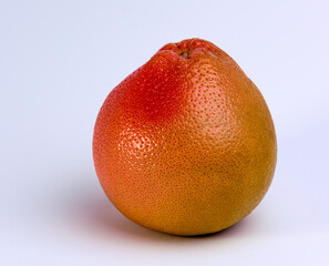 A big grapefruit on a white background