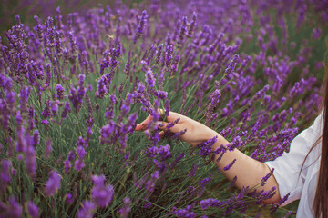 Close up the woman's hand in the lavender field