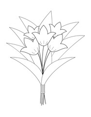 Fototapeta na wymiar bouquet of tulips. Hand drawn doodle illstration. Vector illustration. Decorative elements isolated on white background