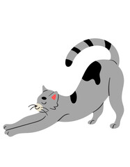 Obraz premium Grey and Black Kitty