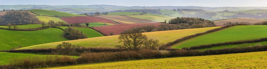 Fields of Berry Pomeroy Village in Devon in England in Europe