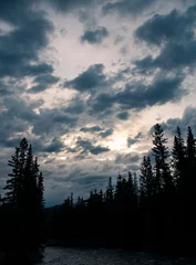 Keuken foto achterwand Mistig bos Patchy Clouds