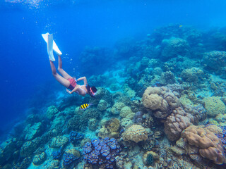 traveller is snorkeling to sea coral