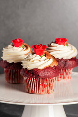 Valentine's Day themed red velvet cupcakes with chocolate and vanilla buttercream icing
