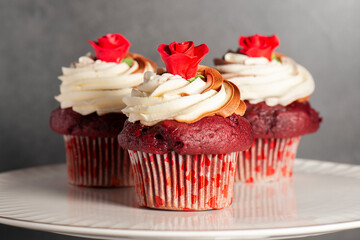 Valentine's Day themed red velvet cupcakes with chocolate and vanilla buttercream icing