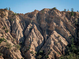 California Forest Mountain Ridge with Trees On Winter Day
