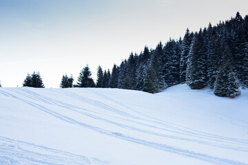 Fototapeta na wymiar Snow covered landscape on cold winter day.