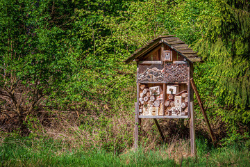 An insect hotel on a forest clearing. Should provide insects with a shelter