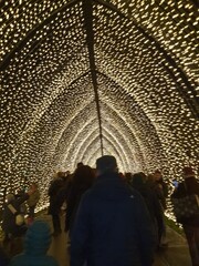 Christmas light tunel