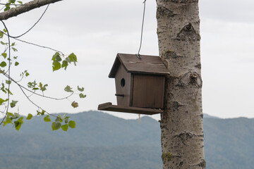 Wooden birdhouse hanging on the tree