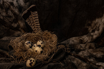 Fototapeta na wymiar Quail eggs in a nest with feathers low key