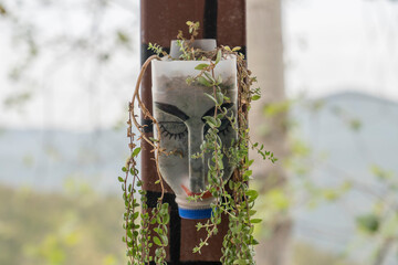 plastic beverage bottle flower pot,
in the form of a human face