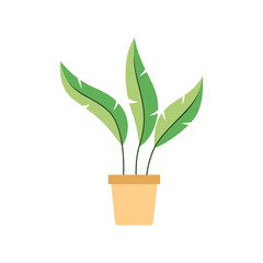 Decorative Green Plant Isolated on a white background Flat Design Vector Illustration.
