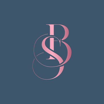 BS letter logo alphabet monogram icon symbol