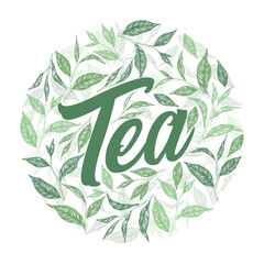 Tea hand written lettering logo with green tea leaves and branches isolated on white background. Natural organic design concept for emblem, packaging, label