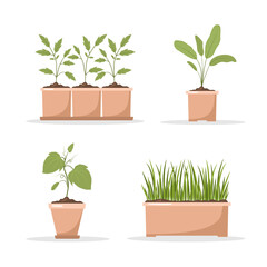 Set of spring seedlings in pots. Growing gardening plants. Vegetarian and ecological products. Vector illustration in flat cartoon style.