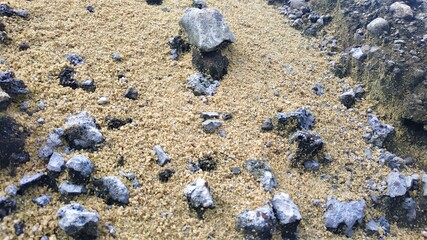 Expanse of sand with gray rocks