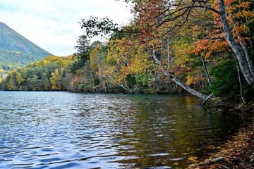 Fototapeta na wymiar ちょうど見頃の紅葉に包まれたオンネトー湖の情景＠北海道