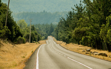 carretera, autopista, paisaje, cielo, viajando, asfaltar, bosque, naturaleza, montagna, árbol,...