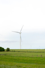 Fototapeta na wymiar Wind farm seemingly growing windmills from America's farmlands