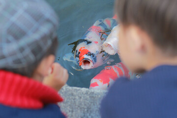 girl playing with toy