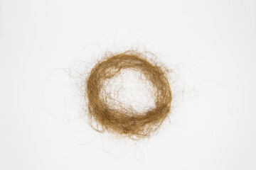 Concept of problem with loss hair. Hair wound in a circle on white background
