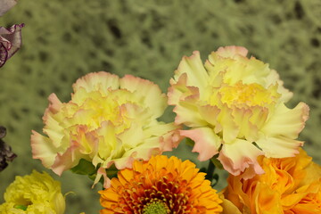 カーネーション（オーロラオレンジ）