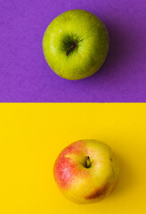 Green apple and yellow-red apple, on a half purple and half yellow background