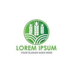grain vector , agriculture logo vector