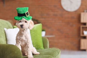 Cute dog with green hat at home. St. Patrick's Day celebration