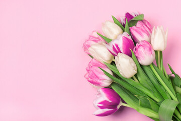 Bouquet of tulips in pink and white colors. Concept of spring, Women's Day, Mother's Day, 8 March, the holiday greetings. Copy space, flat lay.