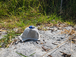 n95 mask littering beach at edge of dunes