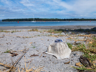 n95 mask left on beach