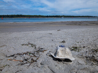 N95 mask washed up on a beach