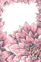 Frame made of pink dahlia petals, large blossoming flowers at the bottom, handmade watercolor. 