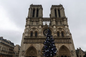 Fototapeta na wymiar Detail from Notre Dame de Paris cathedral
