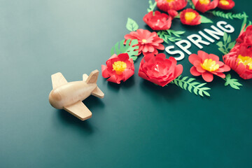 small wooden toy airplane lucky by flower