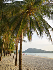 Naklejka premium A view of Patong beach 2021